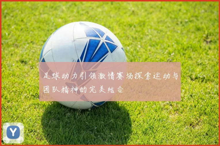足球动力引领激情赛场探索运动与团队精神的完美结合